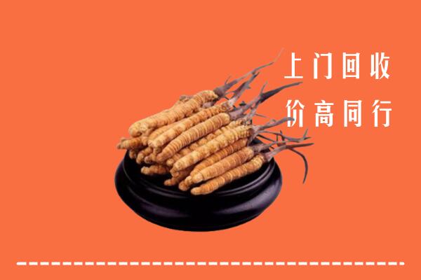 附近收购：伊犁州冬虫夏草回收多少钱每克