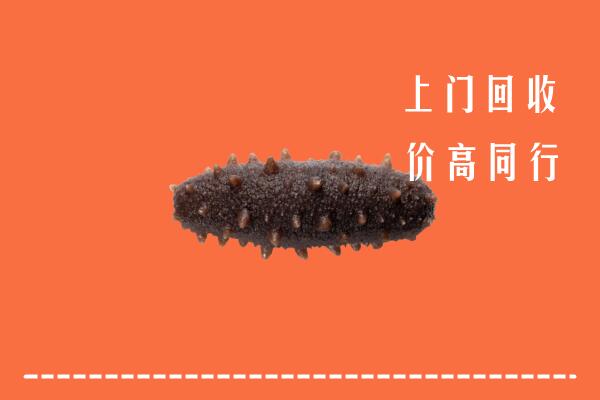 伊犁州回收海参