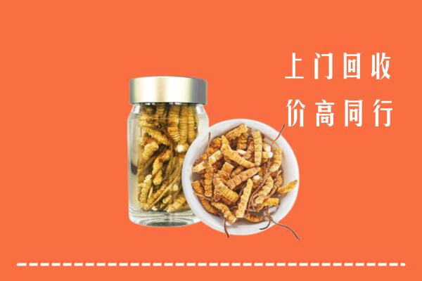 附近收购：伊犁州回收冬虫夏草