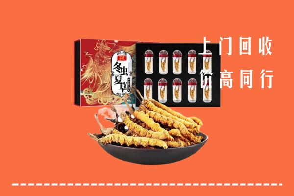 伊犁州回收虫草